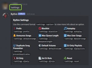 Discord音楽bot Rythmの使い方 導入から操作方法を徹底解説 Discord Mania